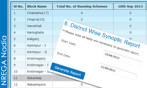 Report: District Wise Synopsis