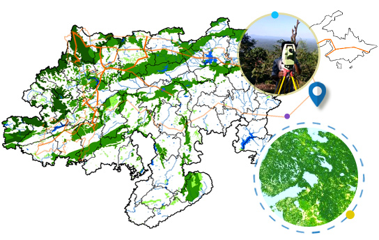 Forest Boundary Survey