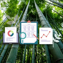 monitoring bamboo forest with gis, remote-sensing technology and software dashboard