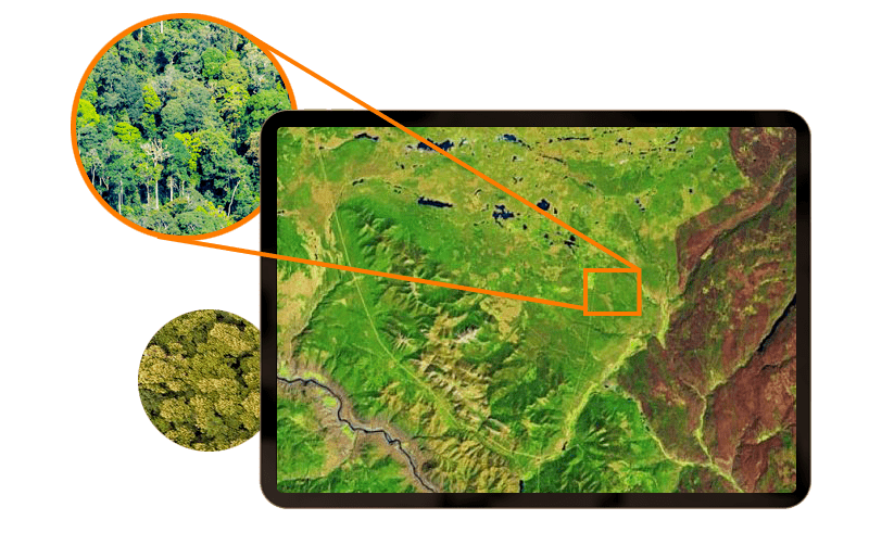 mapping of forest covered area, analysis of forest type