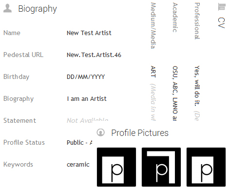social network website design