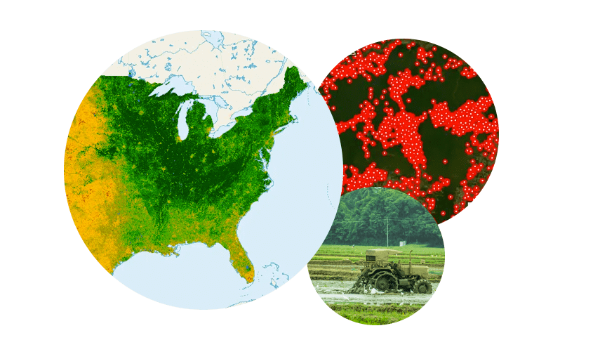 plantation forest fire and agriculture land map analysis