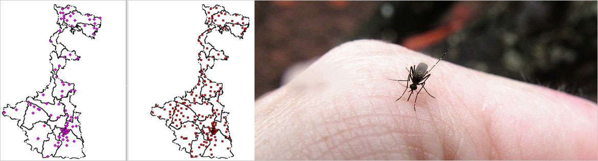 disease mapping
